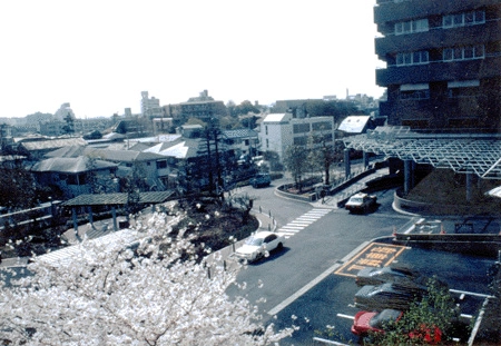 桜の時期、2号館から大井町を臨む（2）